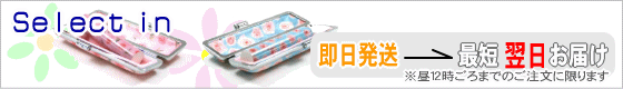 個性派印鑑 Select in セレクトイン